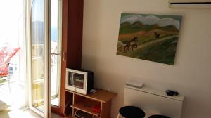 Televízia a/alebo spoločenská miestnosť v ubytovaní Apartments Panorama