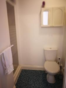 a bathroom with a white toilet and a window at Delamere Hotel in Blackpool