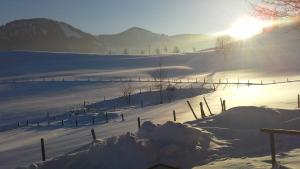 een besneeuwd veld met een hek en de zon bij Haus Alpenhof in Immenstadt im Allgäu