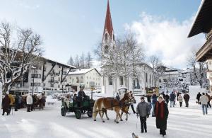 Hostia v ubytovaní Krinzerhäusl