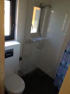 a bathroom with a shower with a toilet and a window at Domki letniskowe La Familia in Sianozety