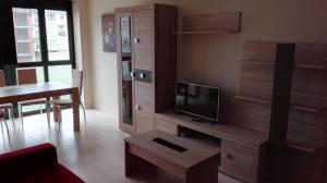 Televízia a/alebo spoločenská miestnosť v ubytovaní Apartment Javier