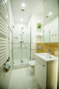W łazience znajduje się prysznic, toaleta i umywalka. w obiekcie MJZ Apartments Old Town Krakow w Krakowie
