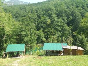 Gallery image of Country house Tara Orasac in Ðurđevića Tara