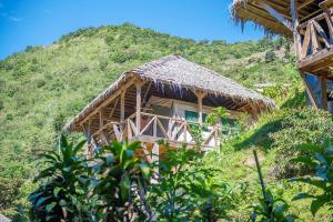 a house with a thatched roof on a hill at Tami Lodge in Providencia