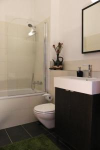 een badkamer met een toilet, een wastafel en een douche bij Berlin Apartments Mitte in Berlijn