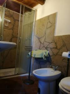 y baño con ducha, aseo y lavamanos. en Casamatta a Blera, en Blera