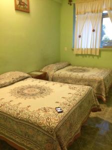 two beds in a room with green walls at Hotel Cosoleacaque Centro in Cosoleacaque