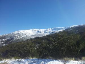 Príroda v okolí apartmánu