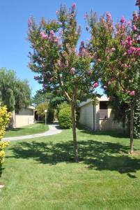 A garden outside Nicolaus Club Magna Grecia