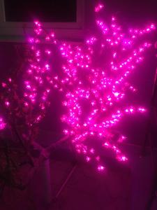 a bunch of pink led lights on a plant at Apartments Kakadu in Sochi