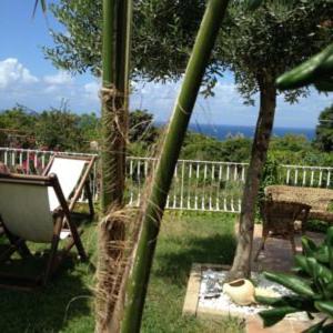 uma vista para um pátio com uma rede de descanso e uma árvore em Residenza Casale San Francesco em Tropea
