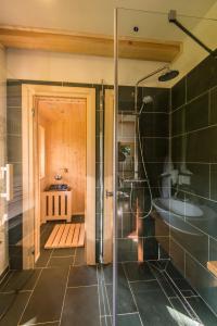 a bathroom with a glass shower and a sink at Magnolia Resort Chalets in Vişeu de Sus