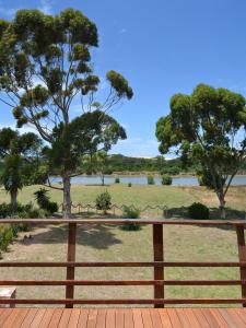 a fence in front of a field with trees at Addo River-View Lodge in Colchester