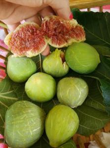 Φωτογραφία από το άλμπουμ του Casa Del Sole σε Soverato Marina