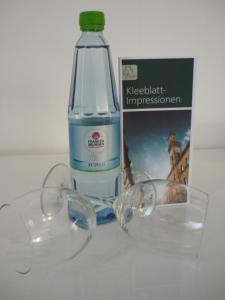 Gallery image of Das SP Hotel in F&uuml;rth