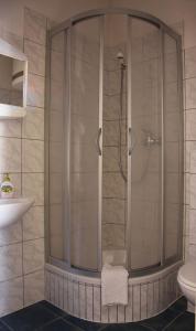 W łazience znajduje się prysznic ze szklanymi drzwiami. w obiekcie Pension zur Wartburg w mieście Görlitz