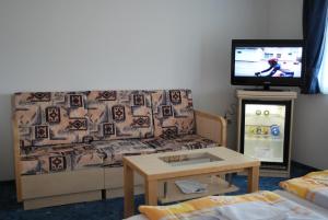 TV a/nebo společenská místnost v ubytování Főnix Hotel