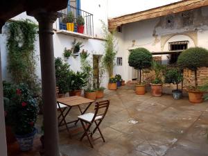 グラナダにあるApartamento en el Albaicín de Granadaのパティオ(テーブル、椅子、鉢植えの植物付)