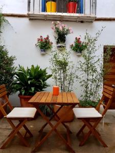 グラナダにあるApartamento en el Albaicín de Granadaの木製テーブル、椅子2脚(花と植物付)