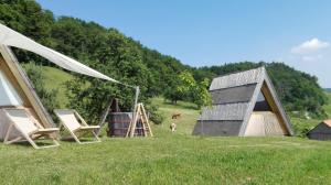 a group of tents and a dog in a field at Glamping - Ekološka kmetija Kozman in Žalec