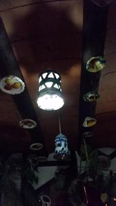 Fotografie z fotogalerie ubytování Hostal la Ninfa v destinaci Granada