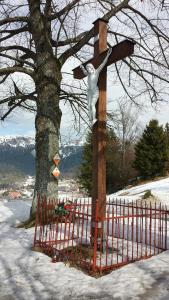 Príroda v okolí apartmánu