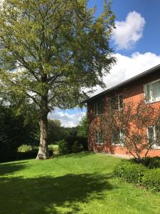 Aed väljaspool majutusasutust Hotel Jernbanegade