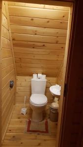 a small bathroom with a toilet and a sink at Chalet Taffski in Borovets +18 photos