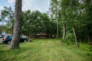 Aed väljaspool majutusasutust Hotel Forest Fairy
