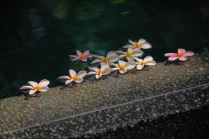 Foto sihtkohas Grand Baie asuva majutusasutuse Ocean Villas Hotel galeriist