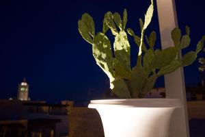 Fotografie z fotogalerie ubytování Muragie del Castello B&B v destinaci Trani