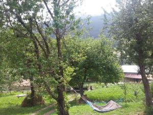 a hammock hanging from a tree in a field at Guest House Adelina in Mestia