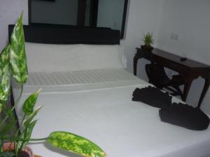 sypialnia z 2 łóżkami i biurkiem z rośliną w obiekcie Hotel Paka INN w mieście Paka