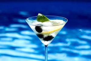 a martini glass with a lime and a mint leaf at Villa Son Remei in Punta Prima