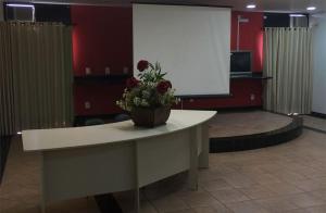 a room with a table with a potted plant on it at Hotel Primavera in Bom Despacho