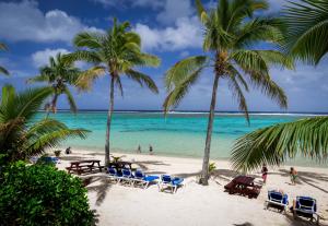 ラロトンガ島にあるThe Rarotongan Beach Resort & Lagoonariumのヤシの木と海のビーチ