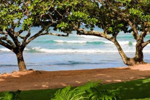 two trees on the beach near the water at 1 Hotel Hanalei Bay in Princeville