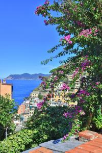 Blick auf eine Stadt mit rosa Blumen auf einem Hügel in der Unterkunft 5 Terre For You in Riomaggiore