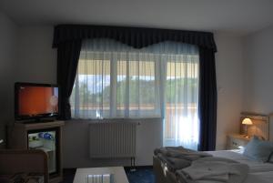 TV a/nebo společenská místnost v ubytování Főnix Hotel