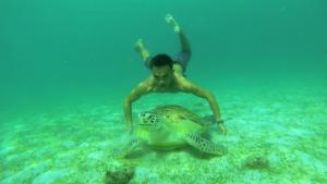 a man standing on top of a turtle in the ocean at Ausan Beach Front Cottages in San Vicente