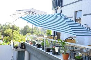 a blue and white umbrella on a balcony with potted plants at North Addis Hotel in Addis Ababa