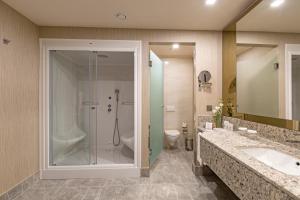 a bathroom with a shower and a sink and a toilet at Royal Seginus in Lara