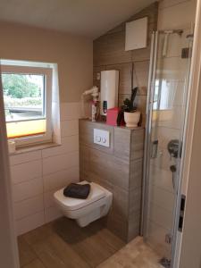 a bathroom with a toilet and a window at Ferienapartment MIA in Fritzlar +28 photos