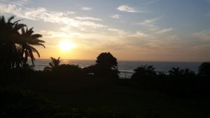 una puesta de sol sobre el océano con una palmera en Eden East, en Elysium