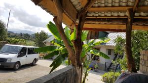 A garden outside Olga's Home