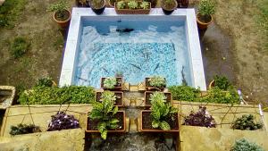 an overhead view of a swimming pool with plants at Marshal Resort Kobuleti in K'obulet'i