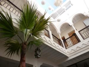 eine Palme in einem Zimmer mit einer Decke in der Unterkunft Riad Safina in Marrakesch