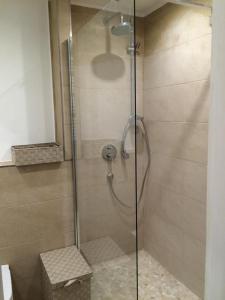 La salle de bains est pourvue d'une douche avec une porte en verre. dans l'établissement Appartement St. Barbara, à Trèves