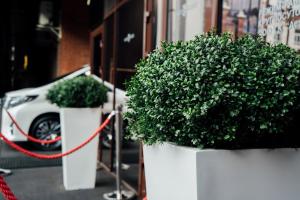 two white planters with plants in front of a car at Hotel Marx in Irkutsk